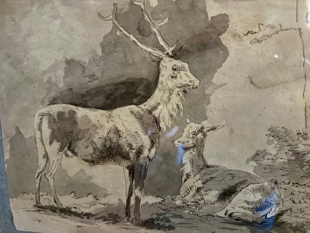 18th century ink and wash of deer