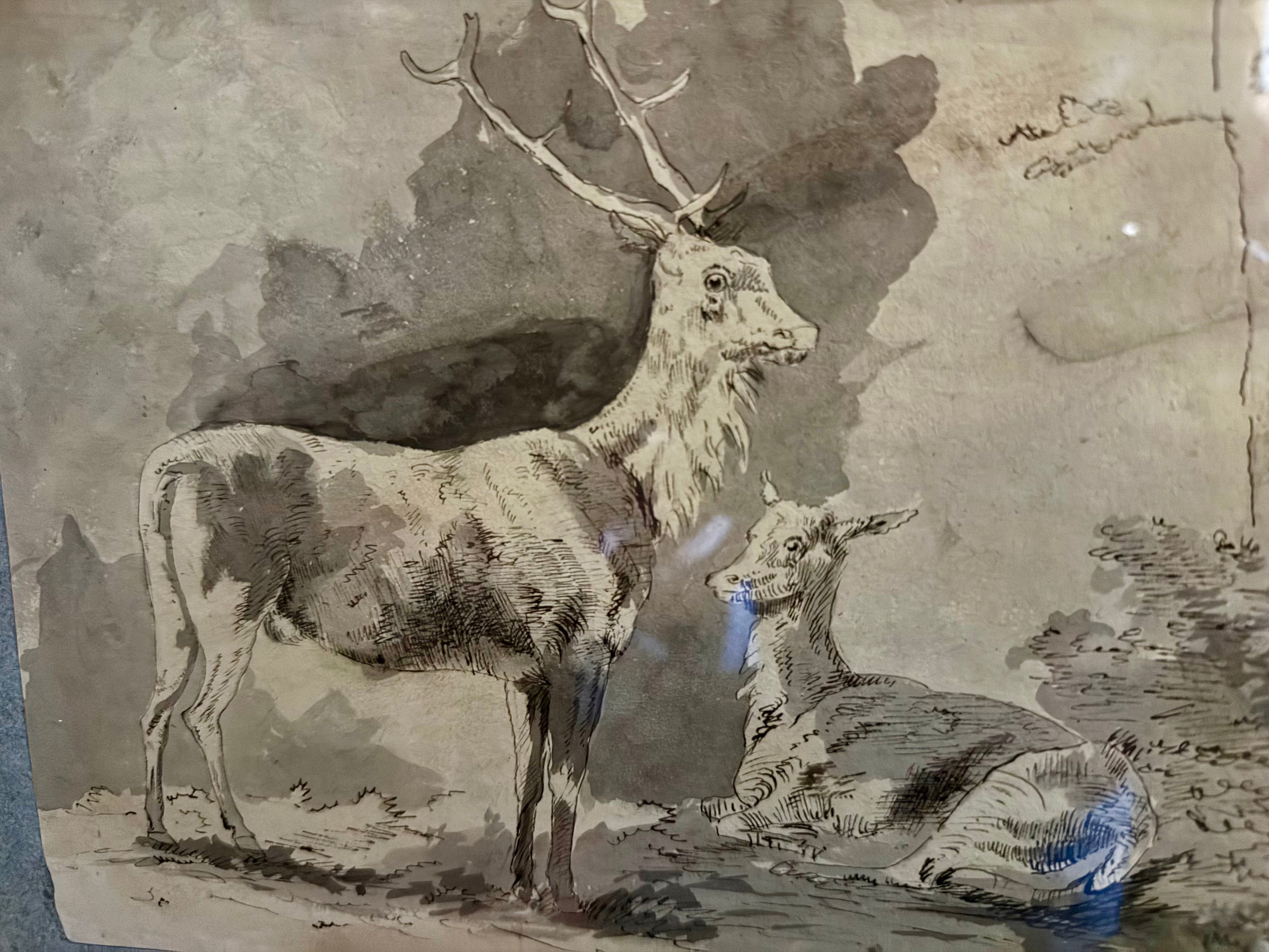 18th century ink and wash of deer