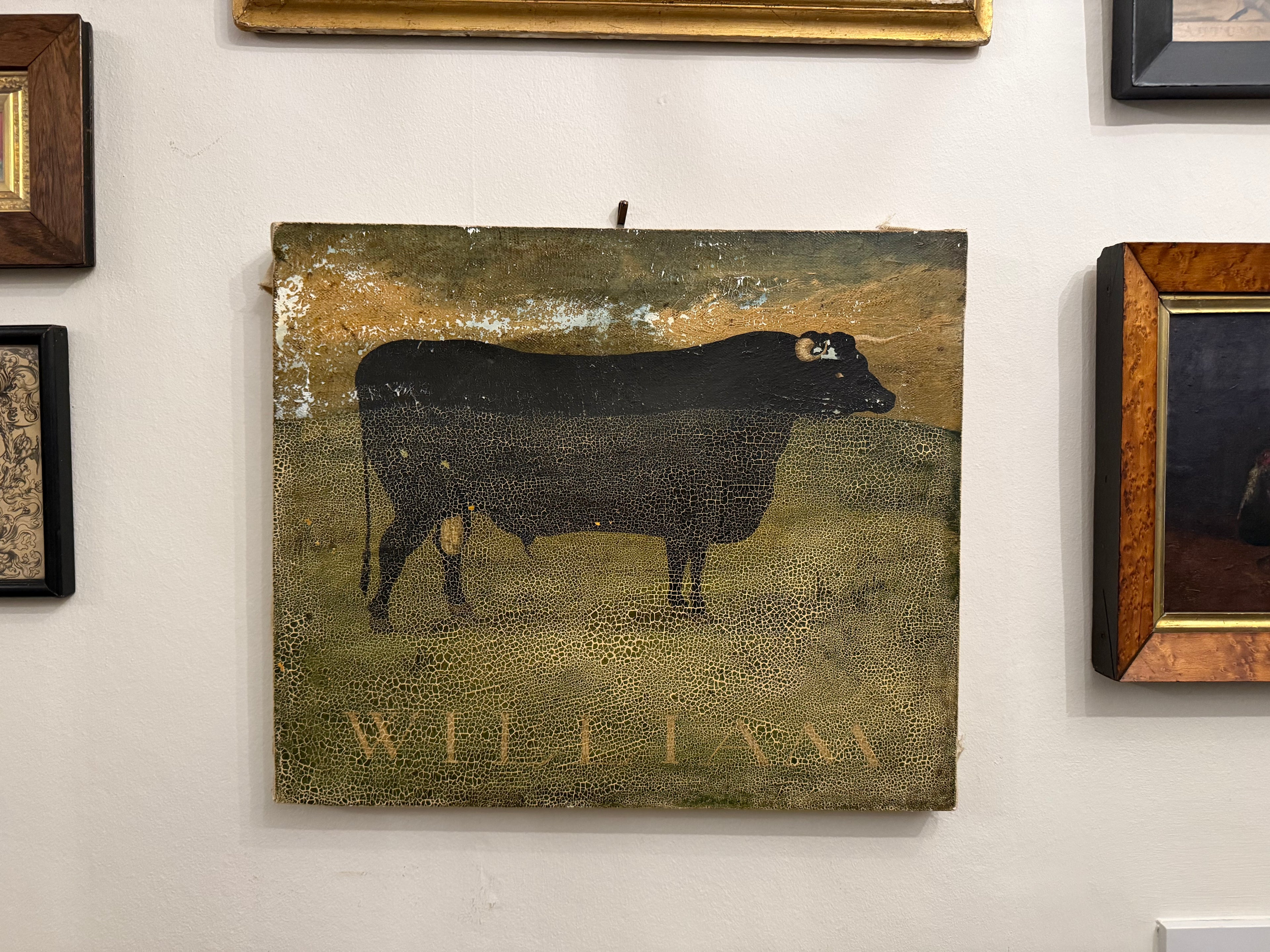 William: vintage naive cow portrait