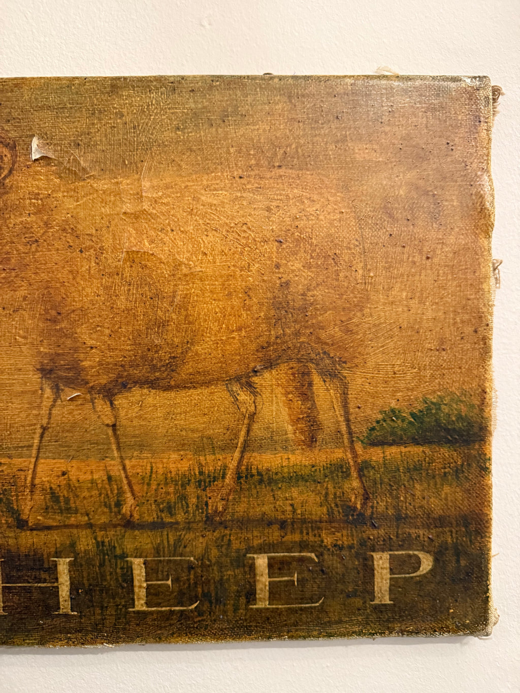 Sheep: naive oil on canvas painting