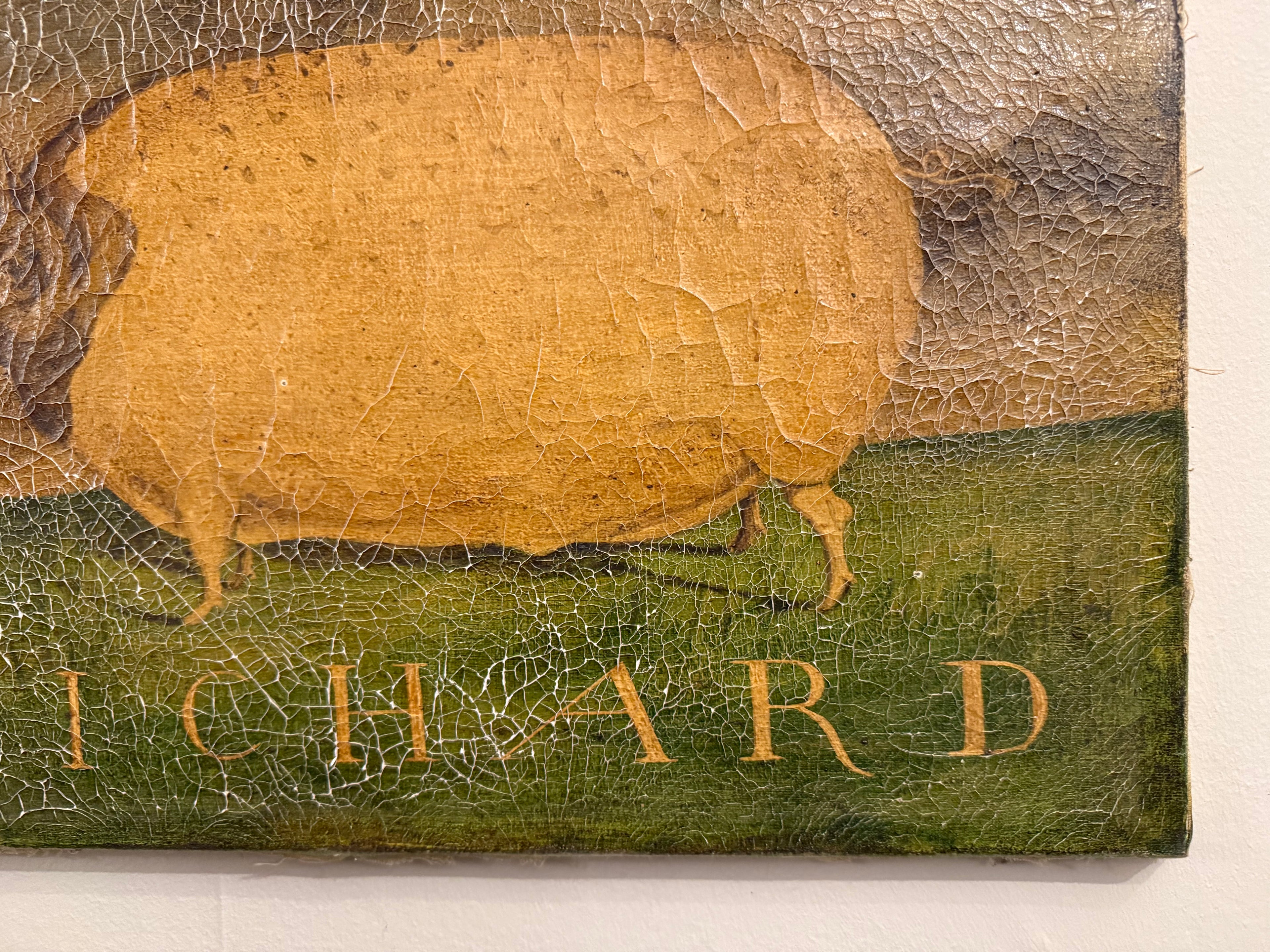 Richard: naive animal portrait