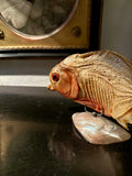 Taxidermy piranha fish on shell stand