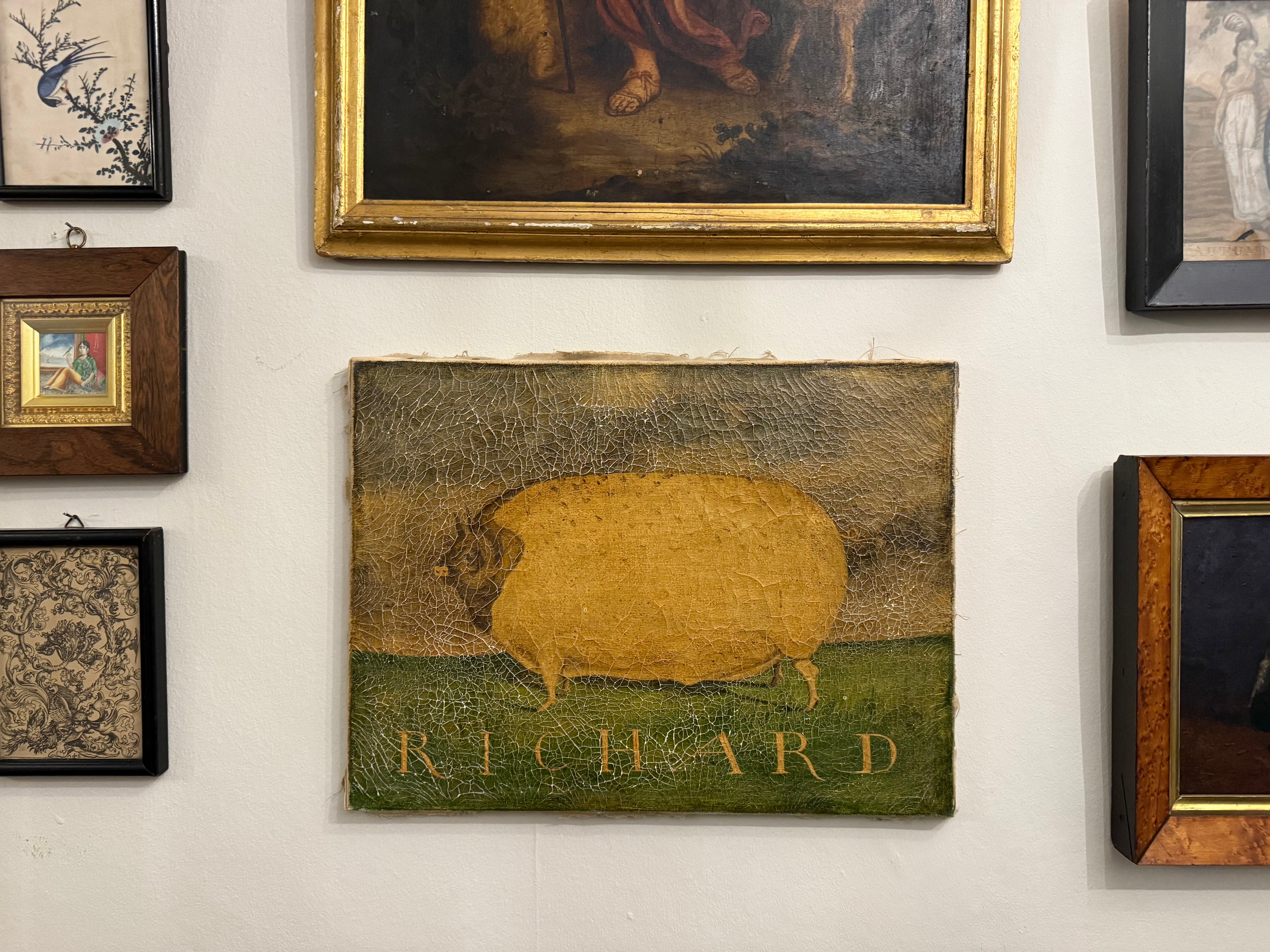 Richard: naive animal portrait