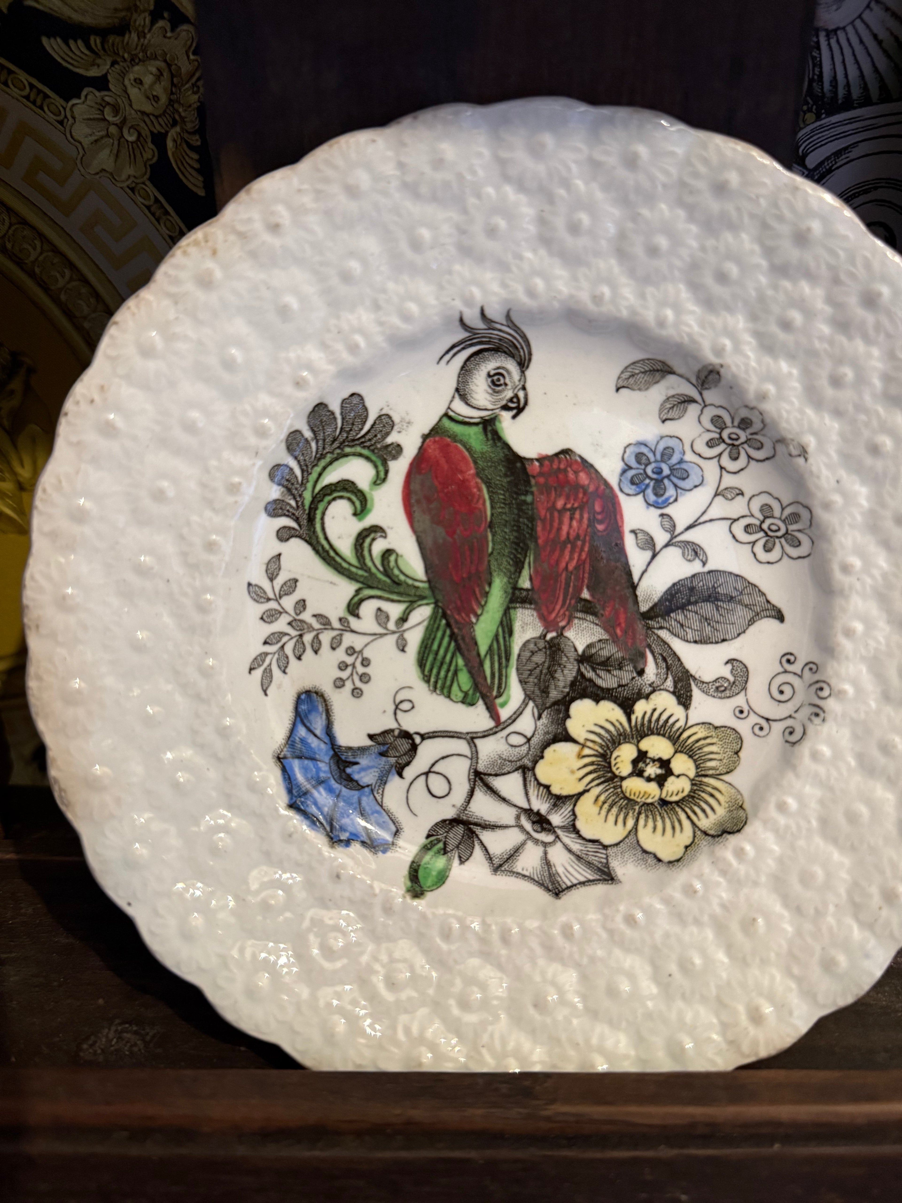 Rare early 19th century Staffordshire pearl ware parrot plate