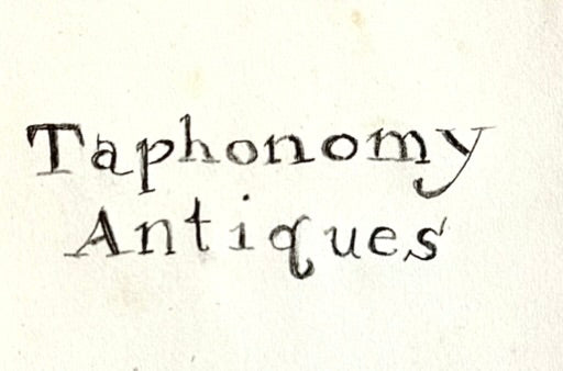 TAPHONOMY ANTIQUES